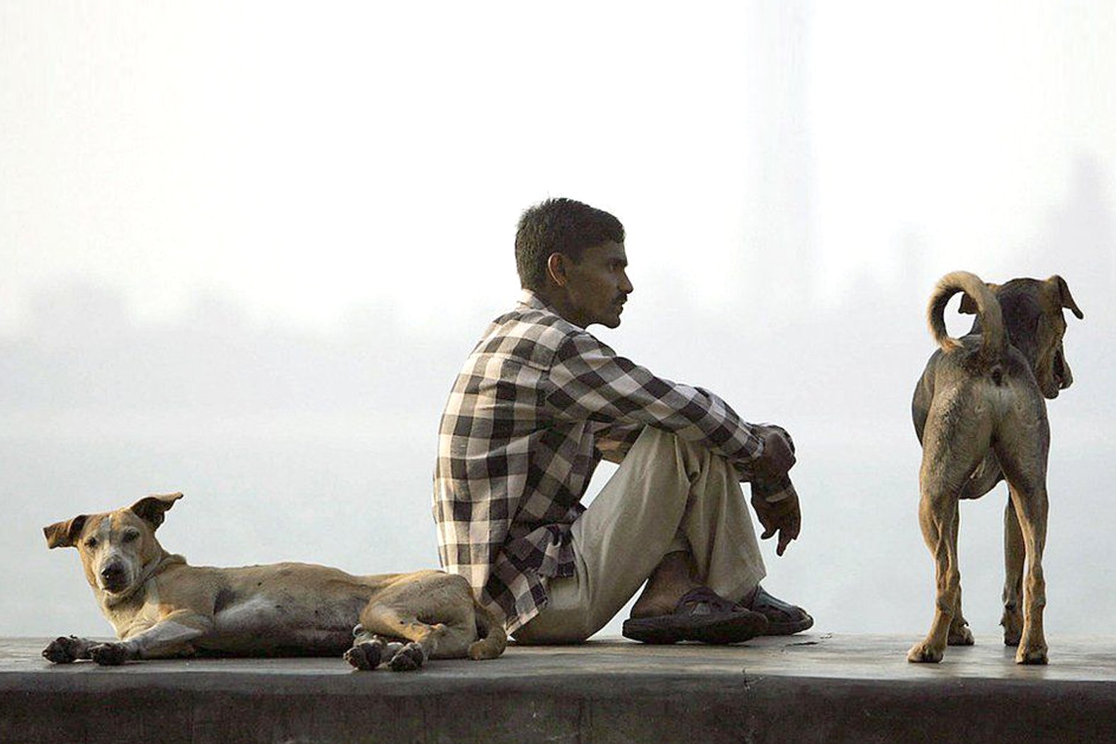 Adopt One Health, Stop Rabies