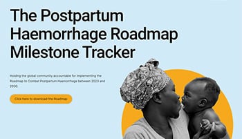 Image of the Roadmap Tracker