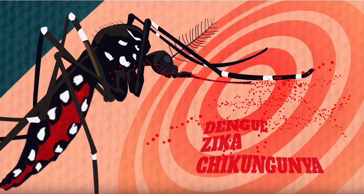 zika-youtube-videos-paho